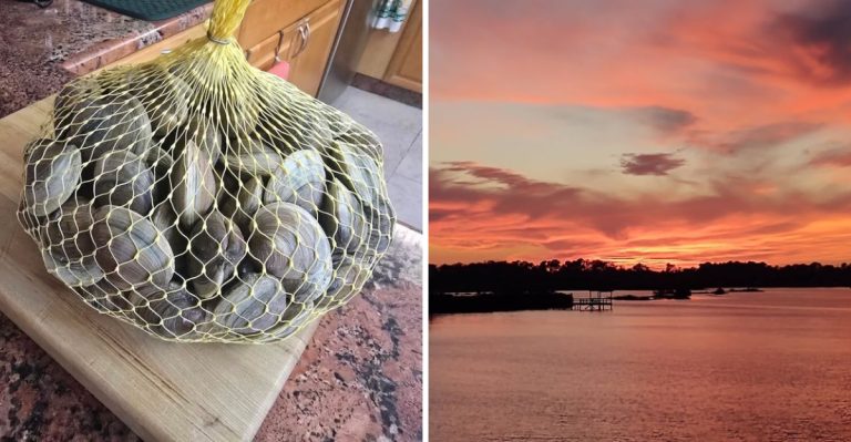 This Cedar Key, Florida Oyster Farm Serves Fresh Gulf Seafood Straight To Your Plate