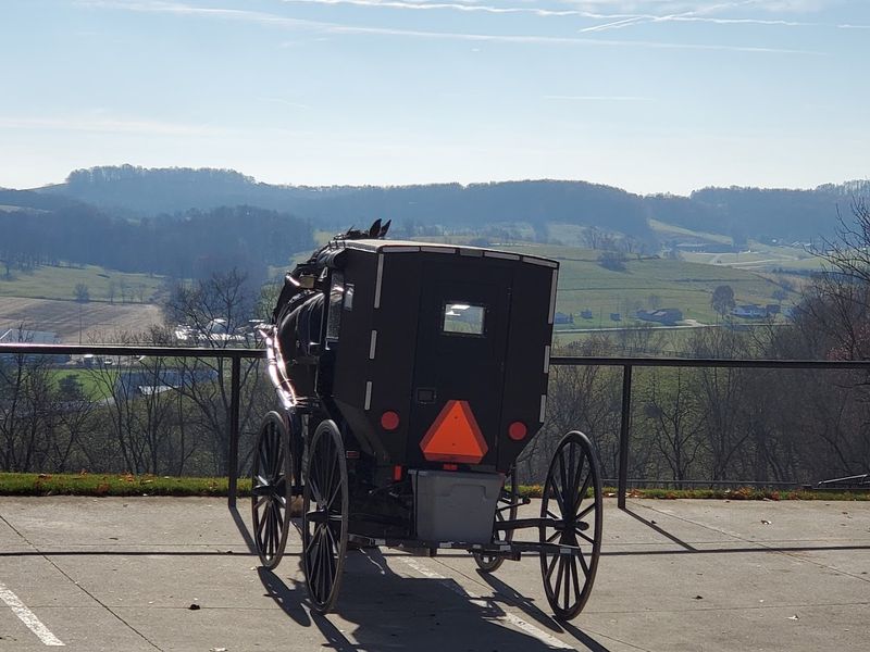 Finding Your Way to Authentic Farm Life