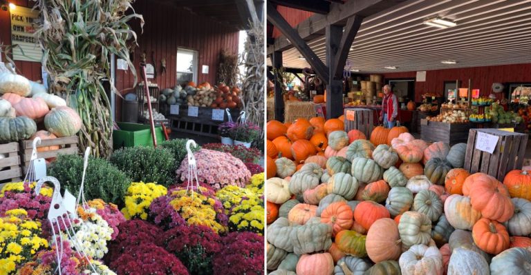 This Charming Amish Country Orchard In Ohio Is Packed With Simple Pleasures