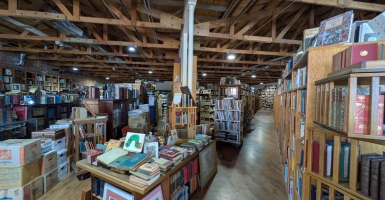 This Charming Arizona Bookstore Pairs Endless Aisles With Friendly Resident Cats
