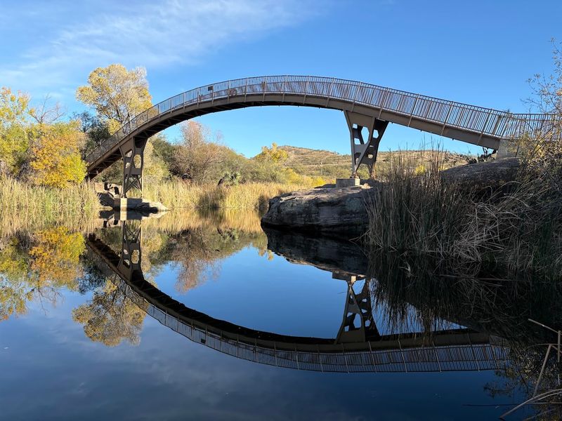 Patagonia Lake State Park: A Waterside Morning You Will Not Forget