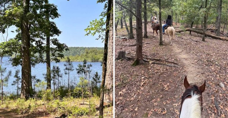 This Charming Carriage Ride Turns Lake Ouachita Into A Storybook Escape