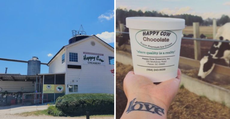 This Charming Dairy Farm In South Carolina Serves The Creamiest Ice Cream