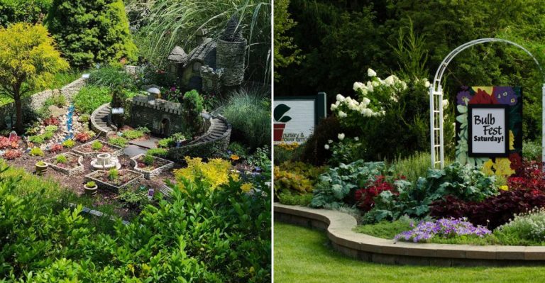 This Charming Garden Market In Illinois Looks Straight Out Of A Midwest Storybook