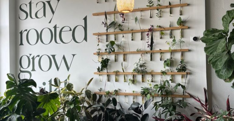 This Charming Illinois Plant Shop Feels Like A Secret Garden