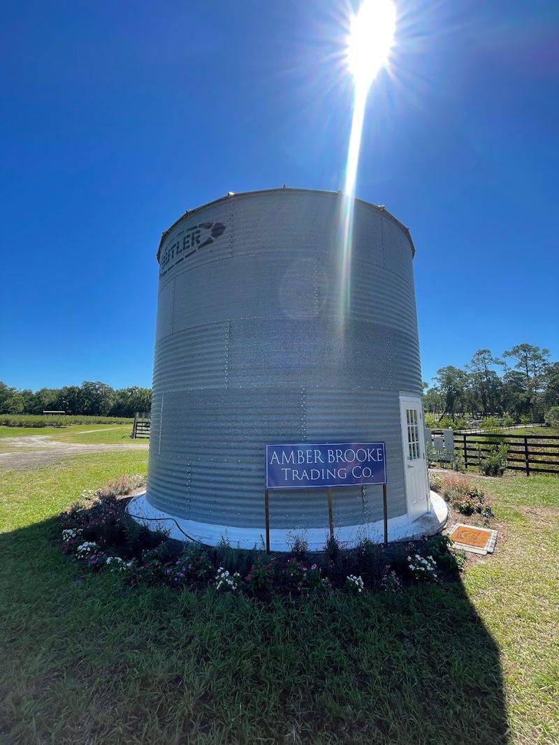 U-Pick Blueberries Straight From The Field