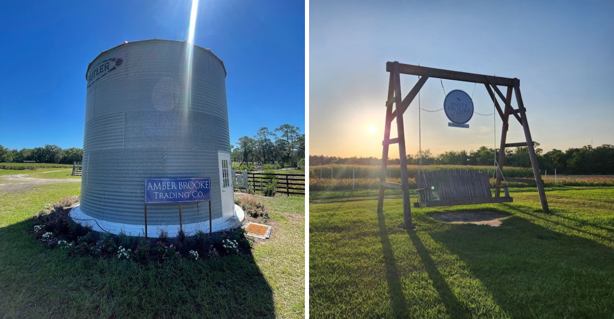 This Charming Mount Dora Festival Is A Must-Visit For Blueberry Lovers In Florida