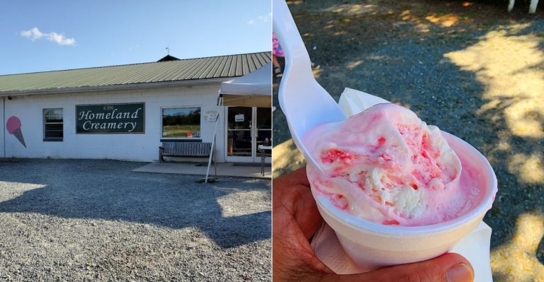 This Charming North Carolina Farm Has Ice Cream You Need To Try