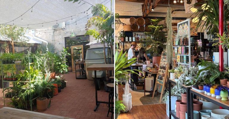 This Charming Plant Shop In Arizona Will Make You Feel Like You’re In A Secret Garden