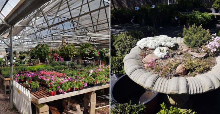 This Charming Plant Shop In Colorado Will Make You Feel Like You’re In A Secret Garden