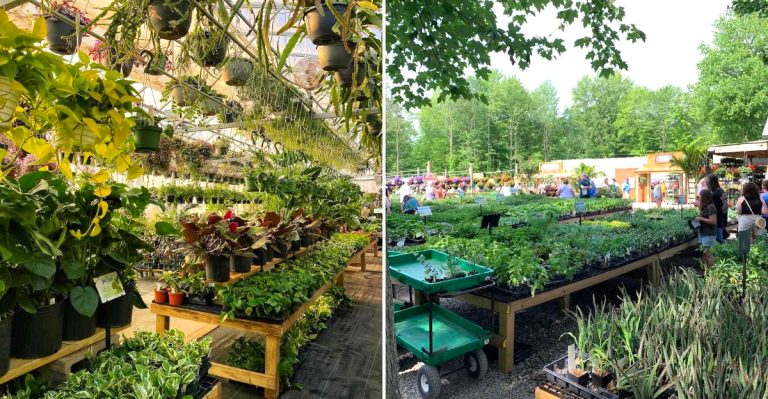 This Charming Plant Shop In Ohio Will Make You Feel Like You’re In A Secret Garden
