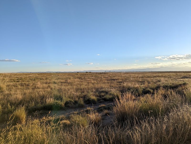 Why April Is the Magic Month for Bird Migration Here