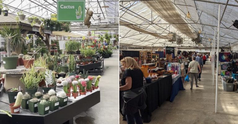 This Colorado Centennial Garden Market Goes Far Beyond Plants With Gifts, Gourmet Finds, And Classes