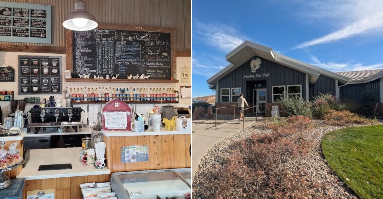 This Colorado Farm Is Known For Its Ultra Creamy, Must-Try Ice Cream