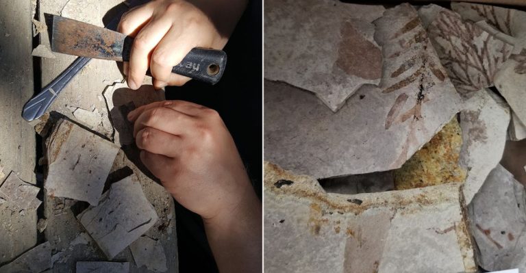 This Colorado Fossil Park Lets You Hunt For Ancient Treasures