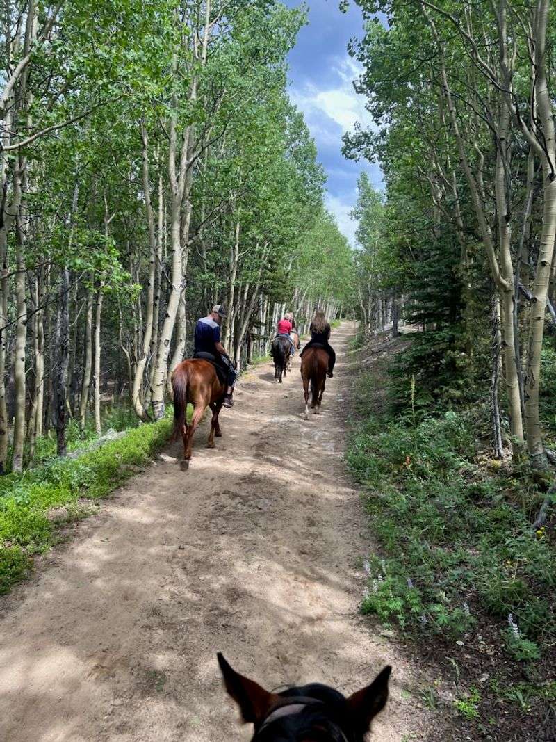 Riding the Miners Trail Through Living History