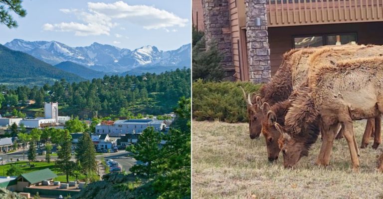 This Colorado Mountain Town Gives You Old-Fashioned Charm, Bluegrass Nights And Elk Sightings