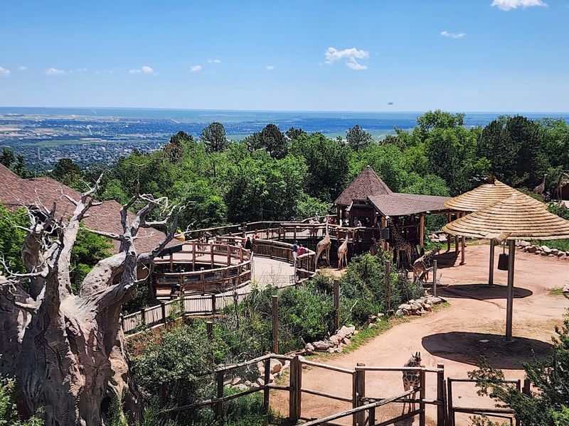 A Zoo Built Into the Side of a Mountain