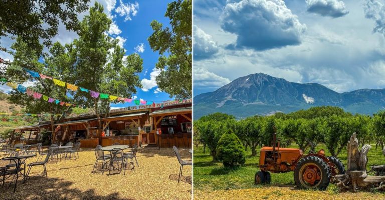 This Colorado Orchard Makes A Simple Spring Day Trip Feel Magical
