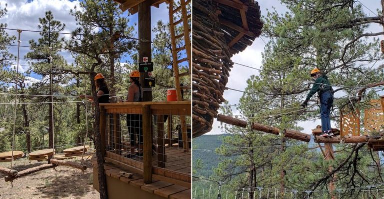 This Colorado Park Has A Treetop Walkway Where You Can Stroll Through The Canopy