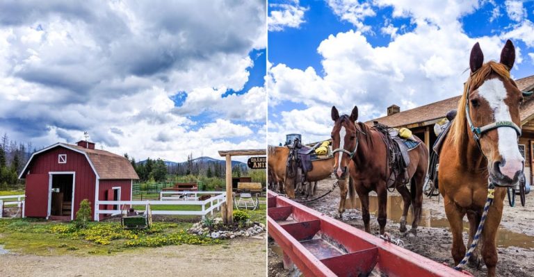 This Colorado Resort Sits Right Against The National Park And It Feels Like A True Mountain Escape