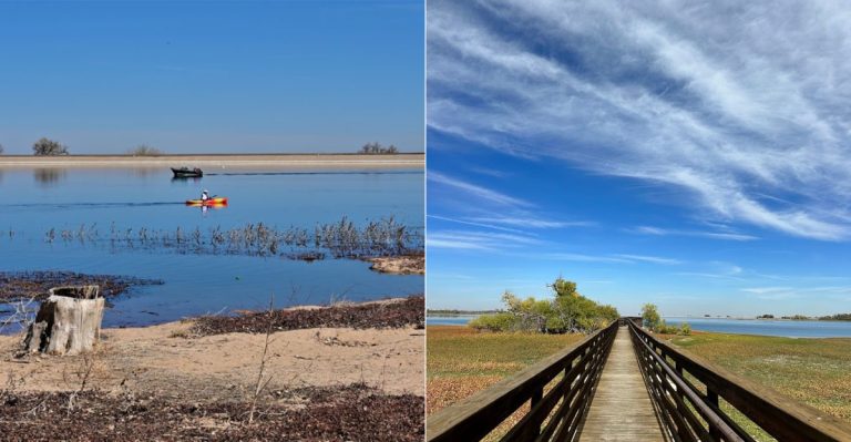 This Colorado State Park Has A Scenic Boardwalk That Leads To A Hidden Wildlife Reserve