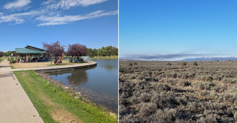 This Colorado Town Bursts To Life Each Spring With Birds, Binoculars ...