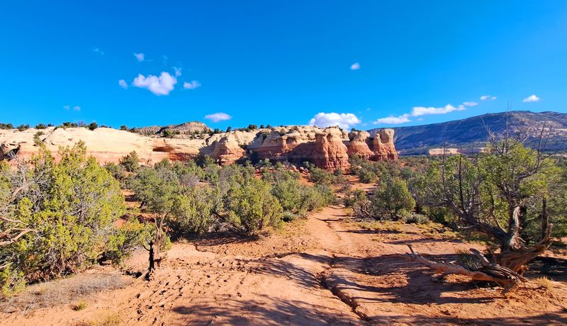 The Trail Itself: Six Miles of Canyon Magic