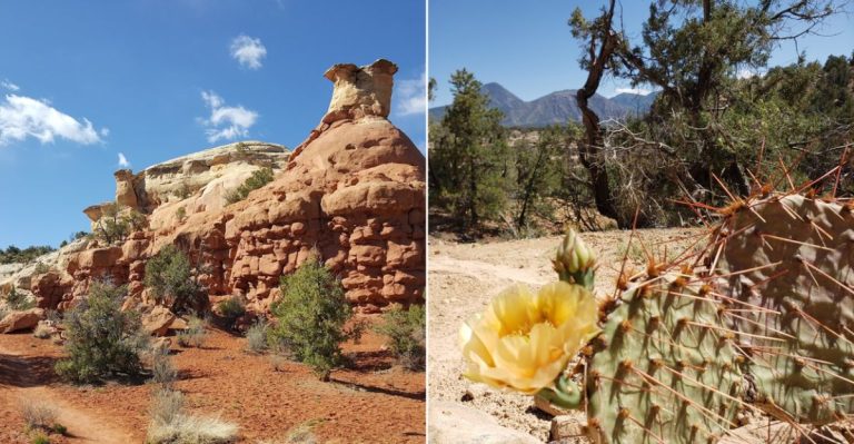 This Colorado Trail Leads To Mystical Canyons And Ancient Puebloan Ruins