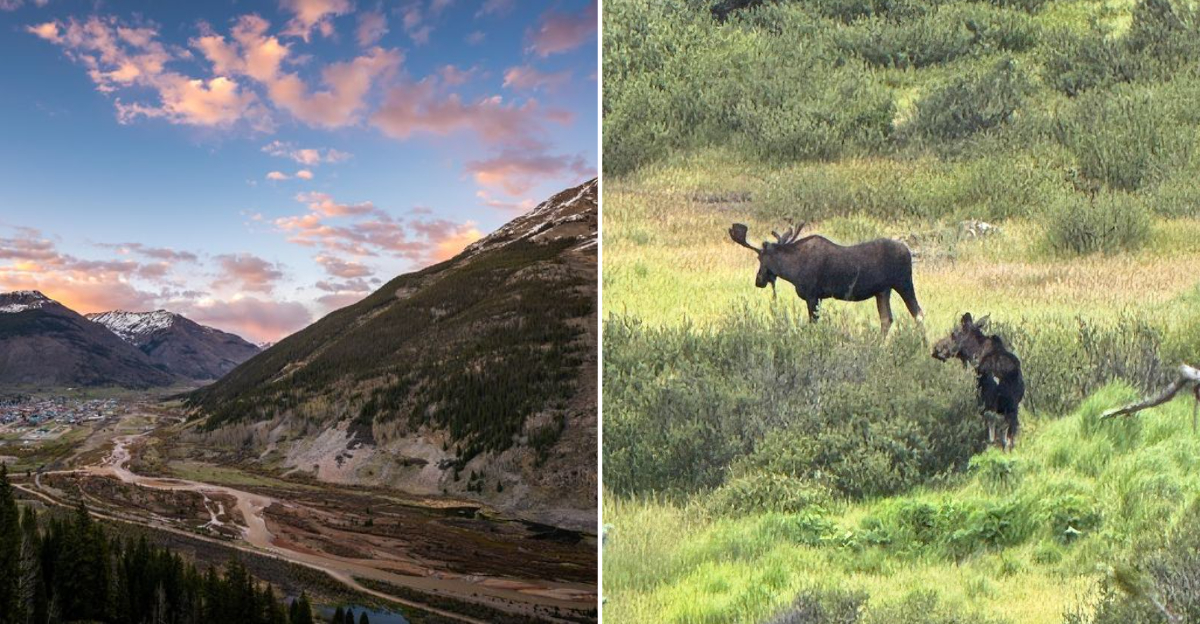 This Colorado Treacherous Mountain Drive Gives You Unbelievably Stunning Views