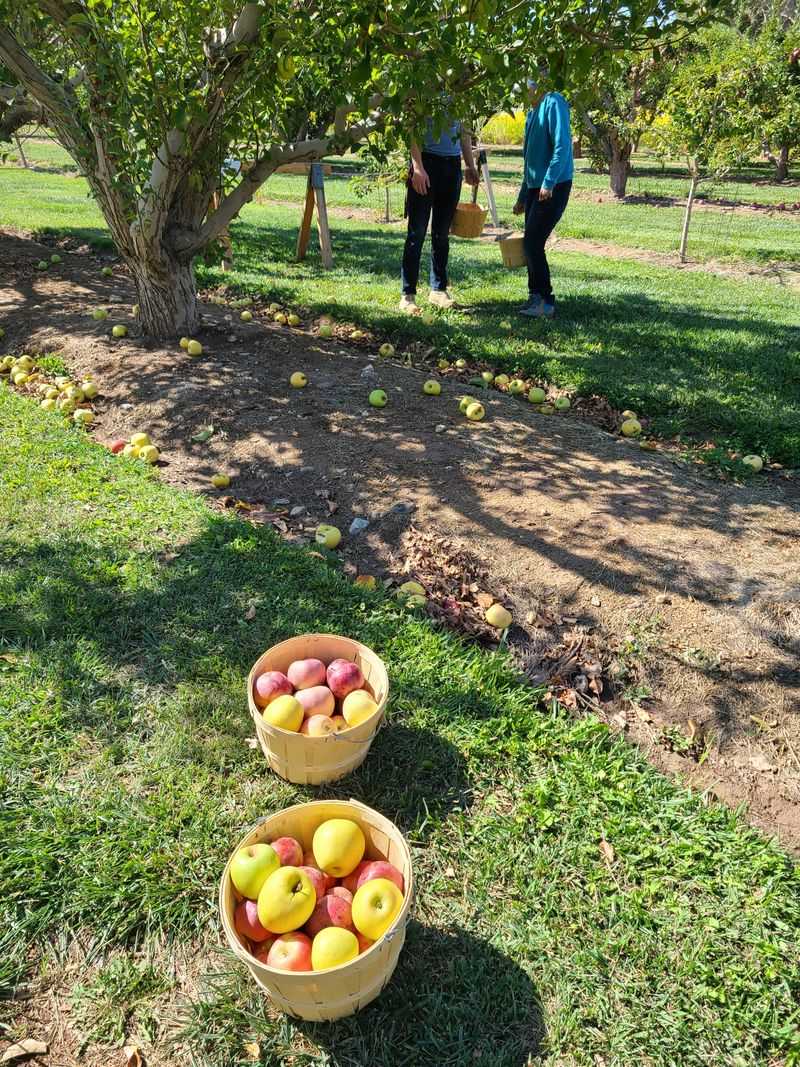 Rare Moment, Decided