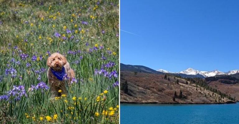 This Colorado Valley Drive Is At Its Best In May With Green Hills, Peaks, And Hardly Any Traffic