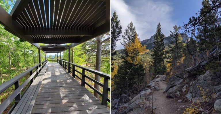 This Colorado Viewpoint Makes A Summers Day Feel Quiet, Scenic, And Unforgettable