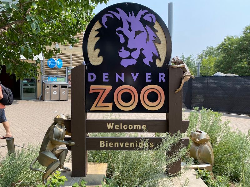 Zebras: Stripes That Stop You in Your Tracks