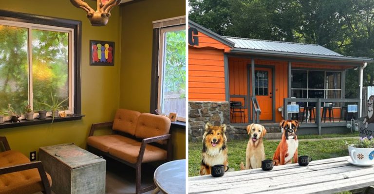 This Cozy Arkansas Dog Café Is A Dream Stop For Coffee Lovers And Their Pups
