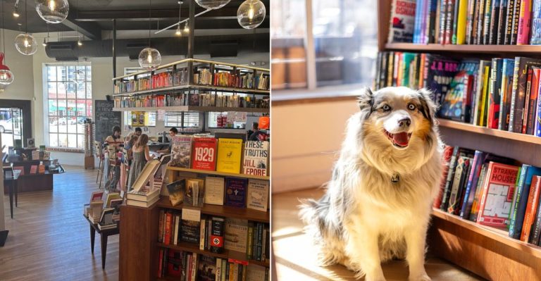 This Cozy Colorado Bookshop Is Becoming A Literary Hub In 2026
