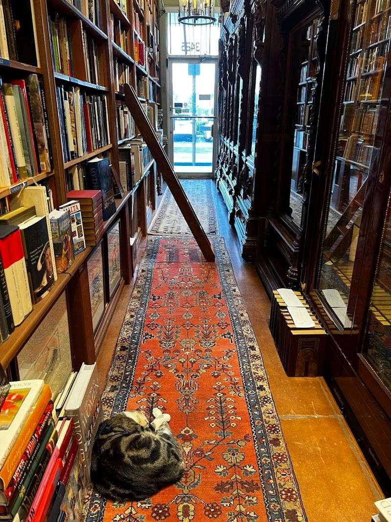 A Bookstore That Feels Like Coming Home