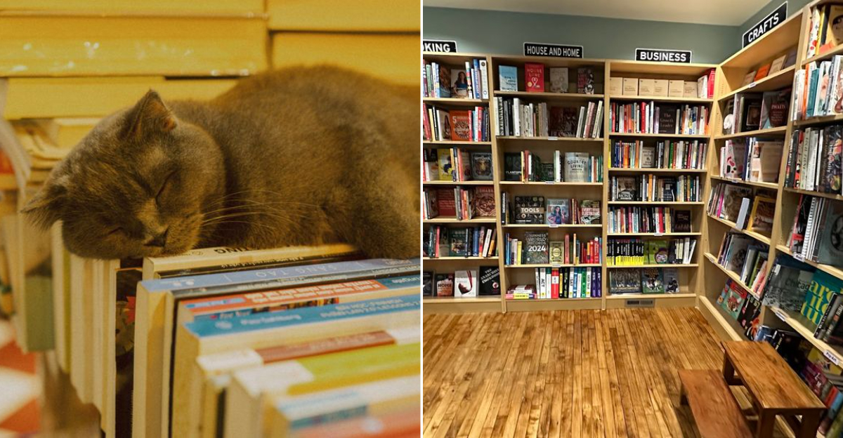 Road Less Traveled Books