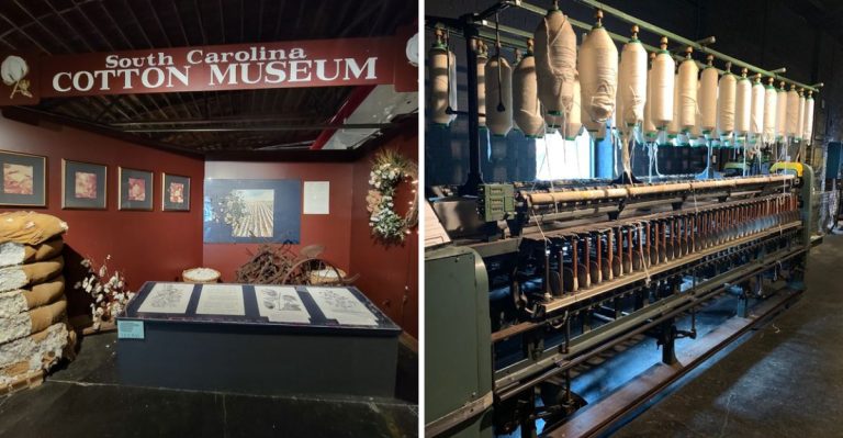 This Curious Museum In South Carolina Is Stranger Than You’d Expect