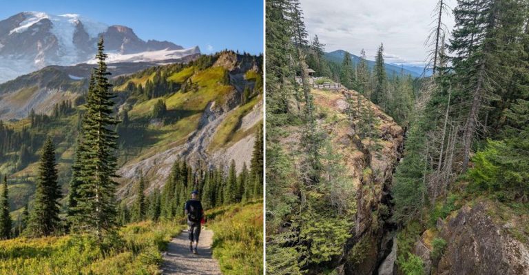 This Deep Washington Canyon Hides The Secret Entrance To A Real-Life Forest Wonderland