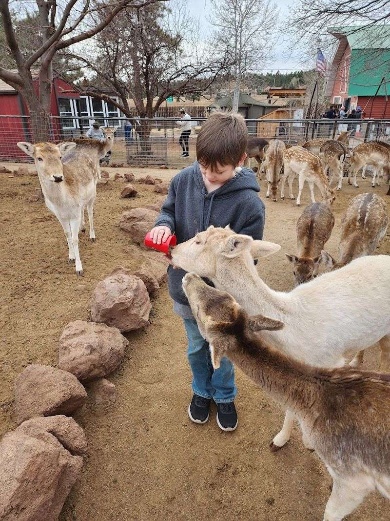 Walking Right Into the Herd