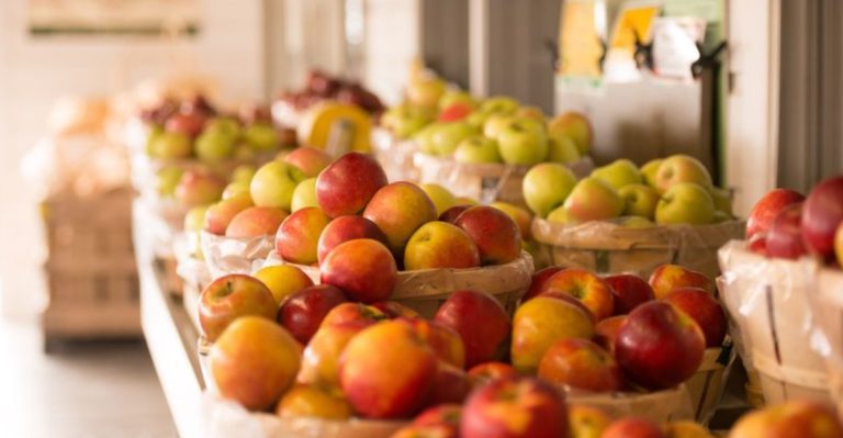 This Delaware Farm Escape Offers U-Pick Fruit, Sweet Treats, And Fun For The Whole Family