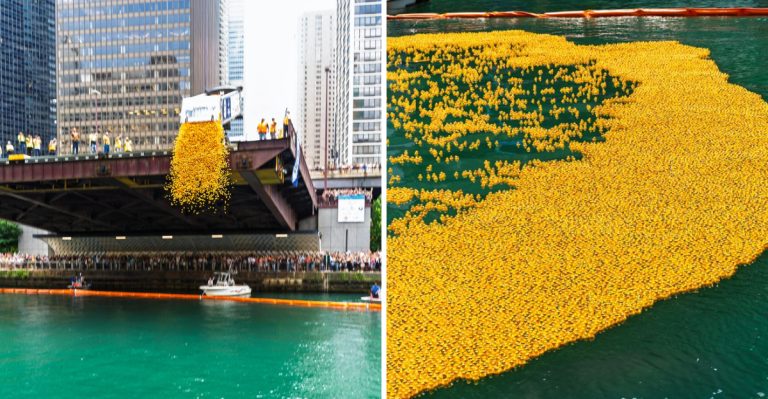 This Delightfully Quirky Florida Event Showcases Thousands Of Rubber Ducks Racing Down The River