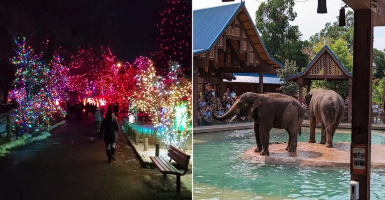 This Denver Spring Lantern Festival Will Light Up Nights In 2026