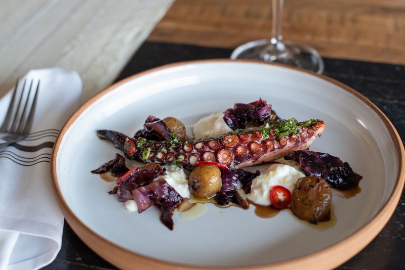 Start With The Octopus