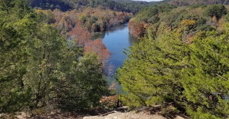 This Dreamlike National Forest In Arkansas Feels Like Another World