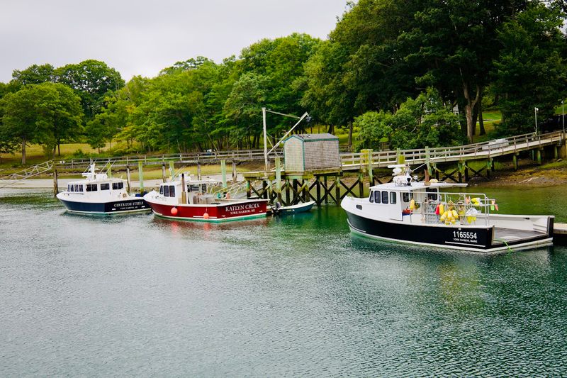 A Trail With A True Working Waterfront Soul