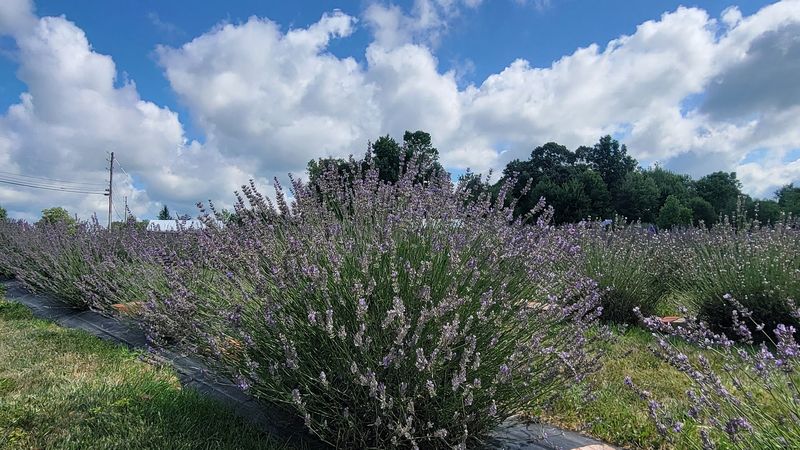 A Surprise Hidden in Plain Sight