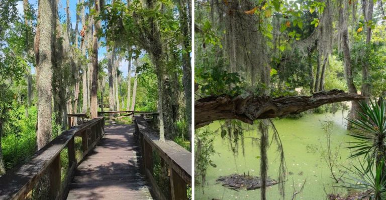 This Dreamy State Park In South Carolina Is One Of The State’s Best-Kept Secrets