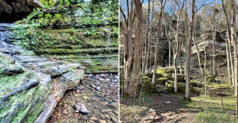 This Easy 1-Mile Trail In Illinois Is So Scenic, You’ll Think About It For Days